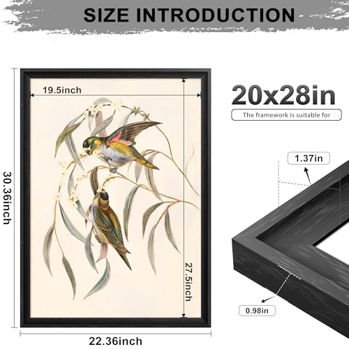 Image of 20x28 Picture Frame Gallery Style Black Frame - Large 20 x 28 Poster Frame for Wall, Hang Horizontally or Vertically