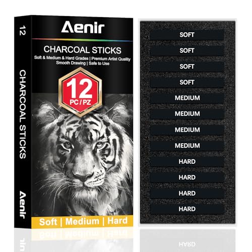 Aenir Compressed Charcoal Sticks Set of 12 – Soft