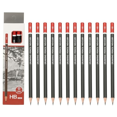 Crayons hexagonaux HB pré-taillés au design bicolore pour écriture et art graphique