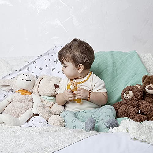 GRÜNSPECHT Bio-Beißring aus Naturkautschuk für zahnende Babys, massiert Zahnfleisch, BPA frei, weich, fördert Feinmotorik, Dinosaurier (639-V1)