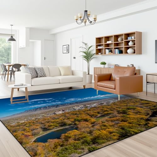 10x14 Albuquerque Skyline Area Rug for Living Room & Bedroom