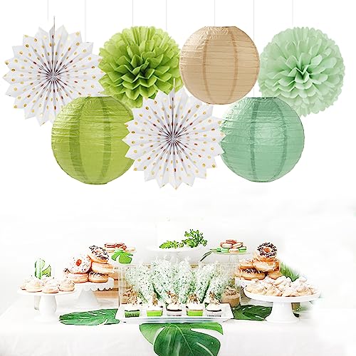 View 3
