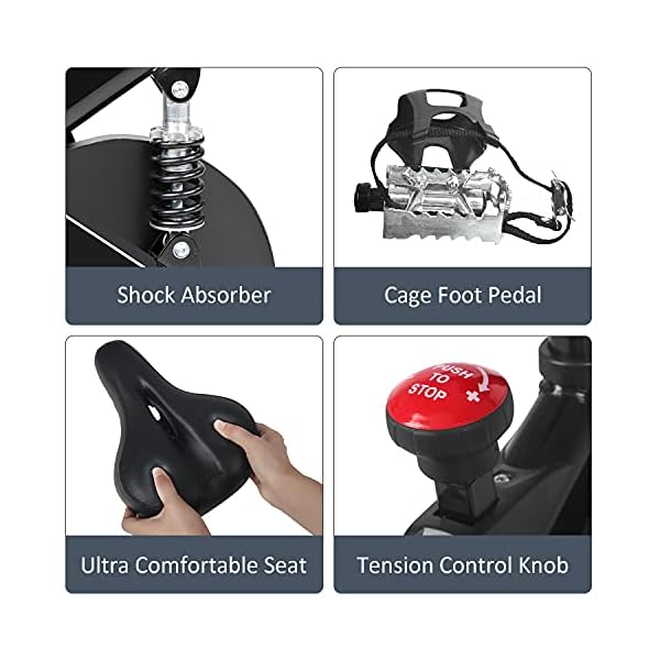 REHOOPEX Exercise Bikes - Indoor Cycling Bike Stationary with LCD Monitor and Tablet Mount, Quiet Belt Drive Stationary Bike for Home Cardio Workouts