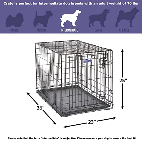 MidWest Homes for Pets iCrate Hundebox, klappbar, 1 Tür, Trennwand, auslaufsichere Bodenwanne, sichere Riegel, Metalldraht, für mittelgroße bis große Rassen, tragbar, robust, einfacher Aufbau, 91 cm