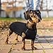 Hjyokuso Fleece Pullover für Dackel Größe M - Warme Hundesweatshirts, Elastische Kleidung für Mittelgroße Hunde