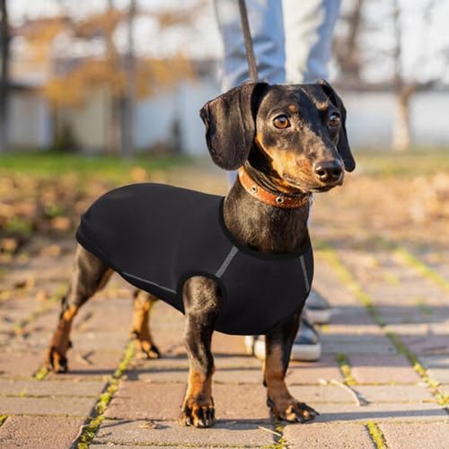 Hjyokuso Fleece Pullover für Dackel Größe M - Warme Hundesweatshirts, Elastische Kleidung für Mittelgroße Hunde