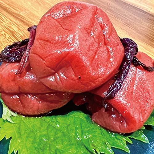 梅干し ギフト 高級 しそ漬け 無添加 うま味調味料 訳あり ではない 国産 しそ700g【塩分7%】【紀州産しそ使用】大粒 祝い梅 まろやか 酸っぱい GrandVillage ご自宅用
