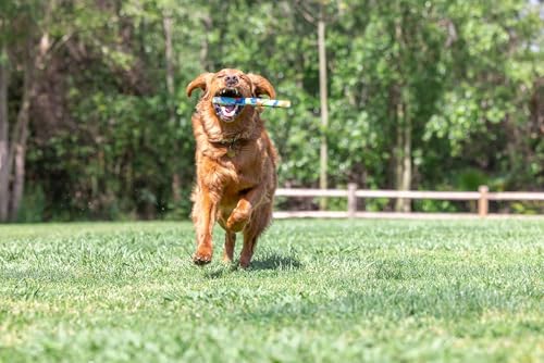 Image of Chuckit! EcoFetch Fetch Stick Dog Toy, Pack of 1, for All Breed Sizes (EcoFetch Stick) | Mentally and physically engaging, suits all breed sizes, pack of 1, built to last through games of chase and retrieve daily