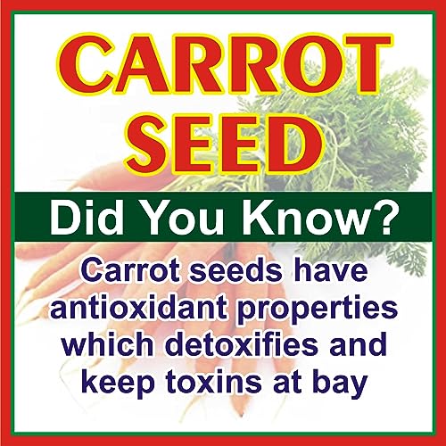Image of Edible Carrot Seed | गाजर के बीज | Gajar K Beej For Home Planting Gardening Eating (1)
