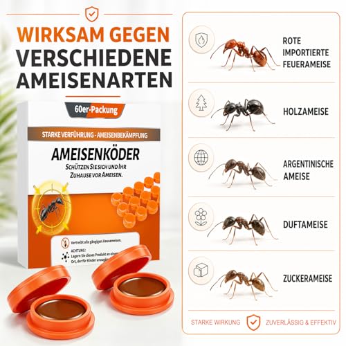 60 Stück Ameisenköderdose - Ameisenköder Ameisen Köderdose Ameisenköderdose für Innen und Außenbereich, Ameisenköder für Küche, Haus, Vorratsraum