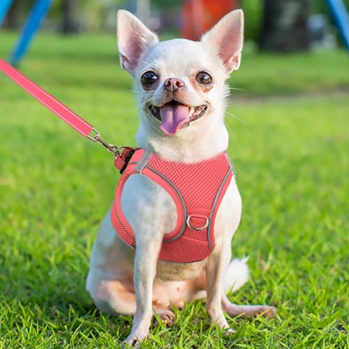 Joytale Step in Dog Harness,Soft Mesh Reflective Breathable Vest Harnesses,Easy Walk Harness with Safety Buckle for Puppies and Extra Small Dogs,XS,Pink - Image 2