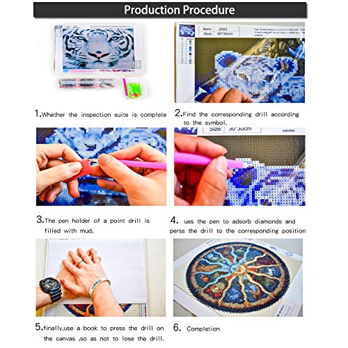 Sendaoer DIY Diamond Painting Kits for Adults,Star Princess Full Drill Crystal Rhinestone Diamond Gem Painting with Diamonds Kits Mosaic Making Supplies Arts Craft for Home Wall Decor (11.8x15.7inch)