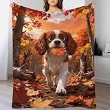 Zoom IMG-2 wxlwhr coperta plaid pile con Zoom IMG-2 wxlwhr coperta plaid pile con