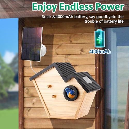 Bird House with Camera,Birdhouses for Outdoors Waterproof Solar Powered, 2K HD AI Camera Recognition for Over 10,000 Species, Real-time Videos & Pictures, Birdhouse Kit for Bird Lovers (Green)
