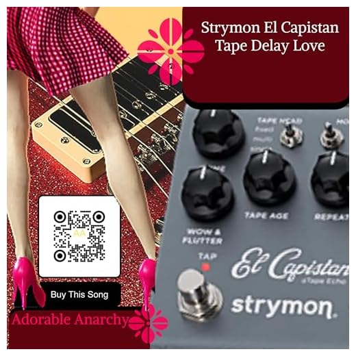 Strymon El Capistan Tape Delay Love Song