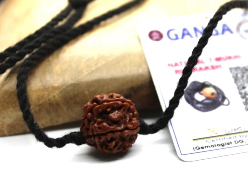Rudraksha Pendant 7 Mukhi Original Lab Certified Rudraksh Mala Bead Necklace on Adjustable Cotton Cord, Shiva Jewelry, Ayurveda Yoga Energy Hindu Protection Necklace for Men & Women3