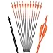 Carbon Arrows 28 Inch Targeting Practice Hunting Arrow Fluorescence Color for Compound Bow and Recurve Bow with 100 Grain Removable Tips (Pack of 12)