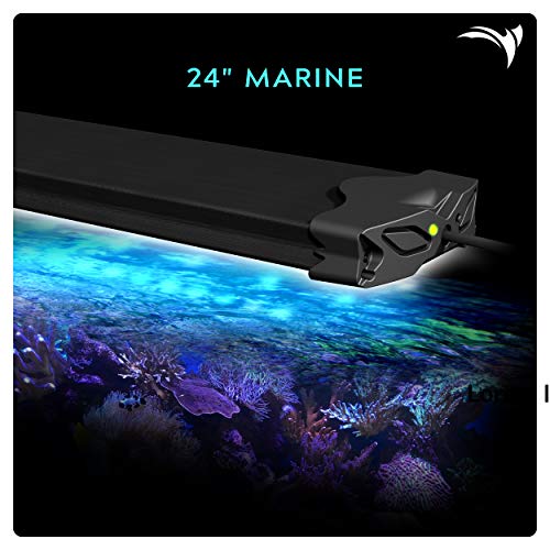 Aquatic Life Edge WiFi LED Aquarium Light, 24-Inch Marine Aquatic Life Edge WiFi LED Aquarium Light, 24-Inch Marine
