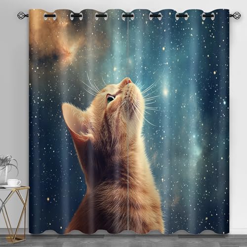HYGIUID Orange Cat Room Divider Curtains, Starry Sky Nursery Curtain