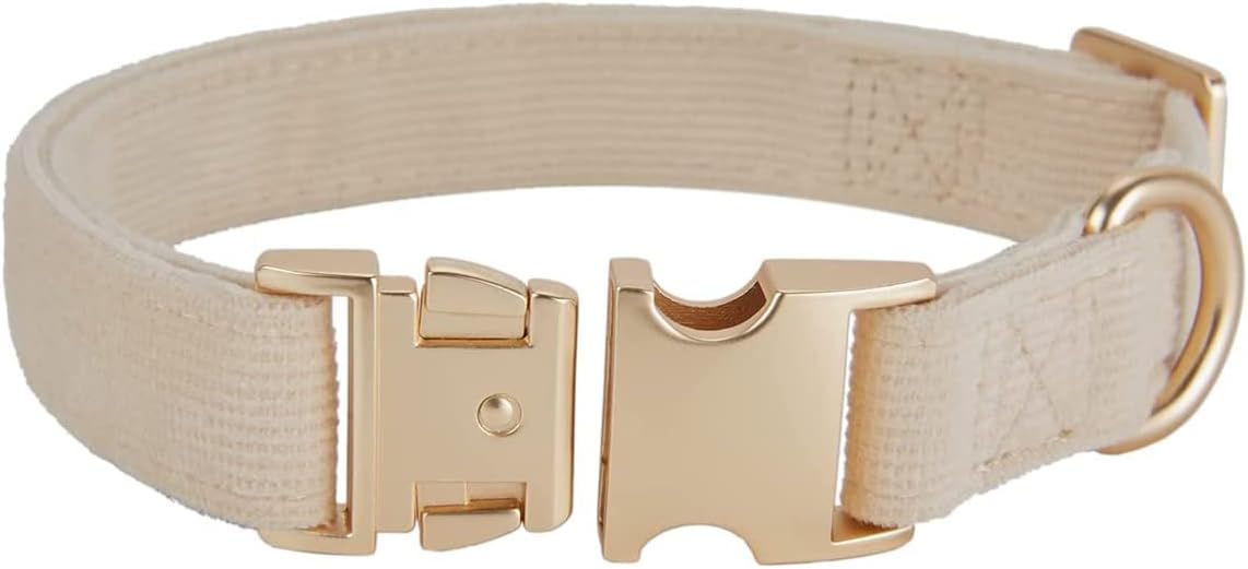 Soft Corduroy Dog Collar and Leash Set Adjustable Durable Wedding Dog Collars with Metal Buckle and Lead for Medium Dogs,Beige