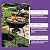 Fast Acting Heavy Duty Grill Degreaser Spray, Spray Desengrasante para Parrillas de Acción Rápida y alta Resistencia, 120ml Fast Acting Heavy Duty Grill Degreaser Spray for Outdoor Grills (2 Sets)