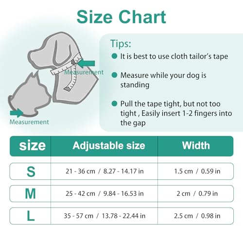 Personalisiertes Hundehalsband Mit Namen & Telefonnummer, Verstellbares Halsband für kleine, mittlere & große Hunde – Individuell für Rüden & Hündinnen (Lila)