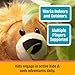 R&R Games Hide & Seek Pals - Loki The Lion Family Game