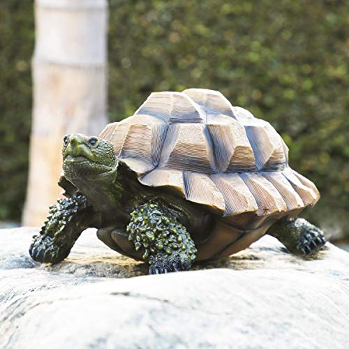 Alpine Turtle Statue, 9 Inch Tall #TOP1