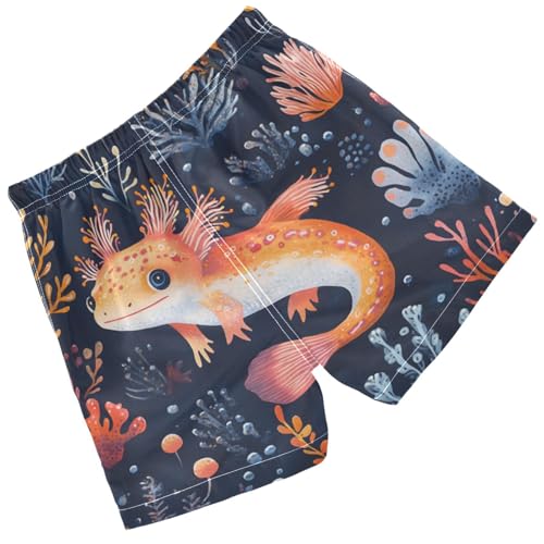 Pigsaly Boys' Swim Board Shorts an Pink Fish Coral Boy's Swim Trunks Kids Swimwear 2T2