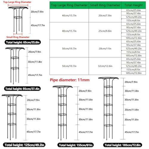 Cage de support en forme parapluie robuste treillis lierre - 5