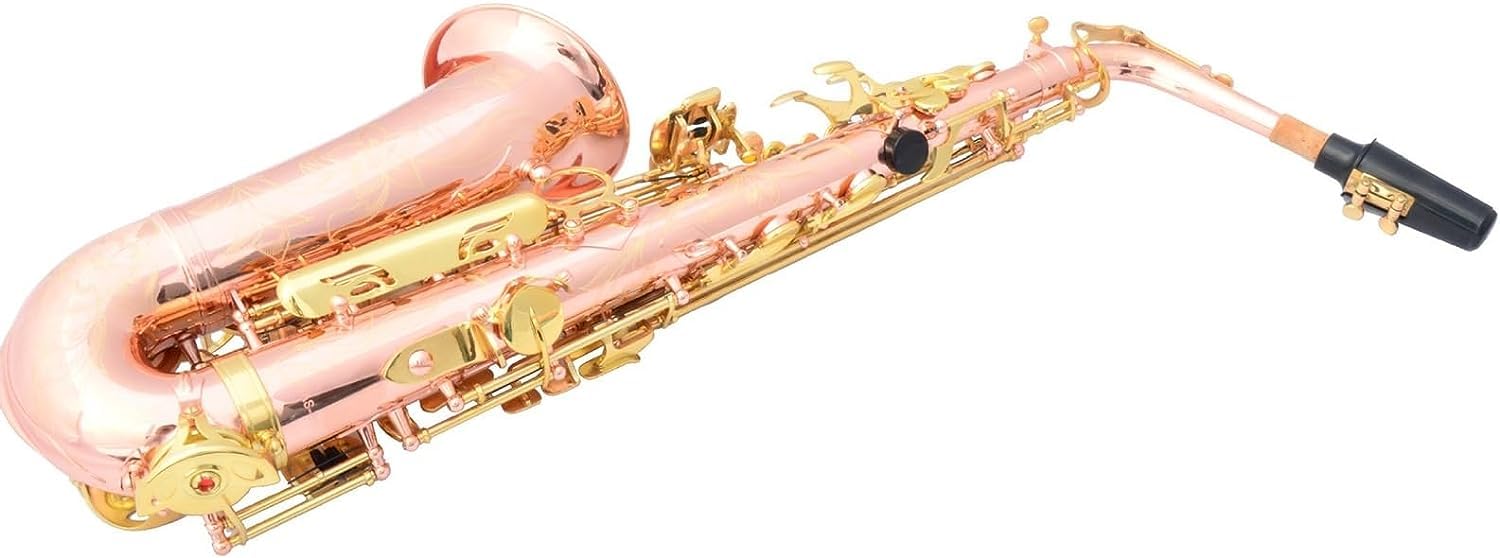 Kit de saxofón alto para principiantes, cuerpo profesional de bronce fósforo con teclas doradas, juego completo de instrumentos musicales para aprendizaje y actuación