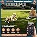 GPS Wireless Dog Fence with Free App, Electric Fence System with Training Collar, Portable Fence for Outdoor Use, Rechargeable Waterproof Flexiable Collar, Adjustable for Large Medium Dogs (Gray)