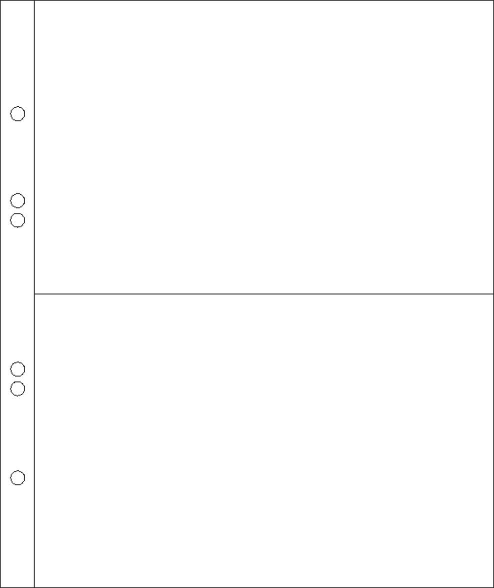 100 Prophila envelope sleeves