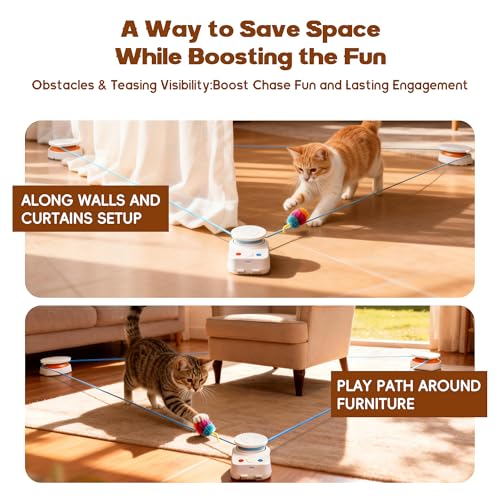 Interactive Cat Toy for Indoor Cat,Automatic Treadmill for Exercise - Image 4