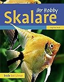  Skalare