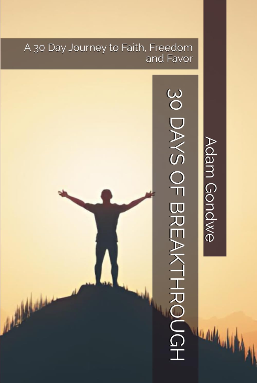 30 DAYS OF BREAKTHROUGH: A 30 Day Journey to Faith, Freedom and Favor