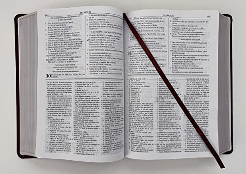 RVR 1960 Biblia de estudio Dake, tamaño grande, piel marrón / Spanish RVR 1960 D ake Study Bible, La