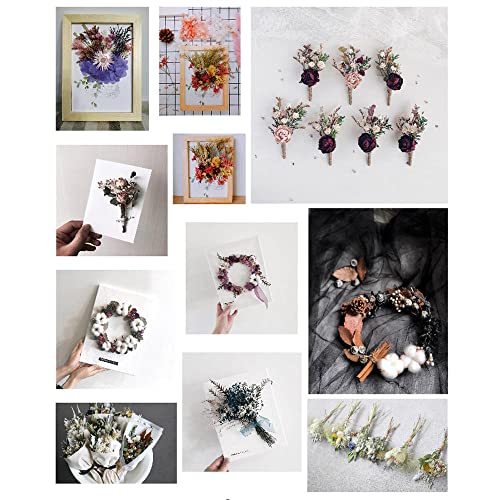 10 cajas de flores secas coloridas para velas miniatura 3