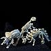NUOLUX 3Pcs 4D Dinosaur Fossil Skeleton Toys DIY For Kids Fossil Skeleton Figure