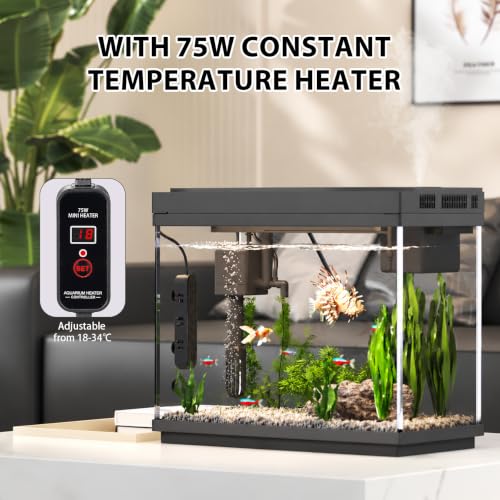 Image of Vehipa 2.4 Gallon Fish Tank Aquarium Starter Kit