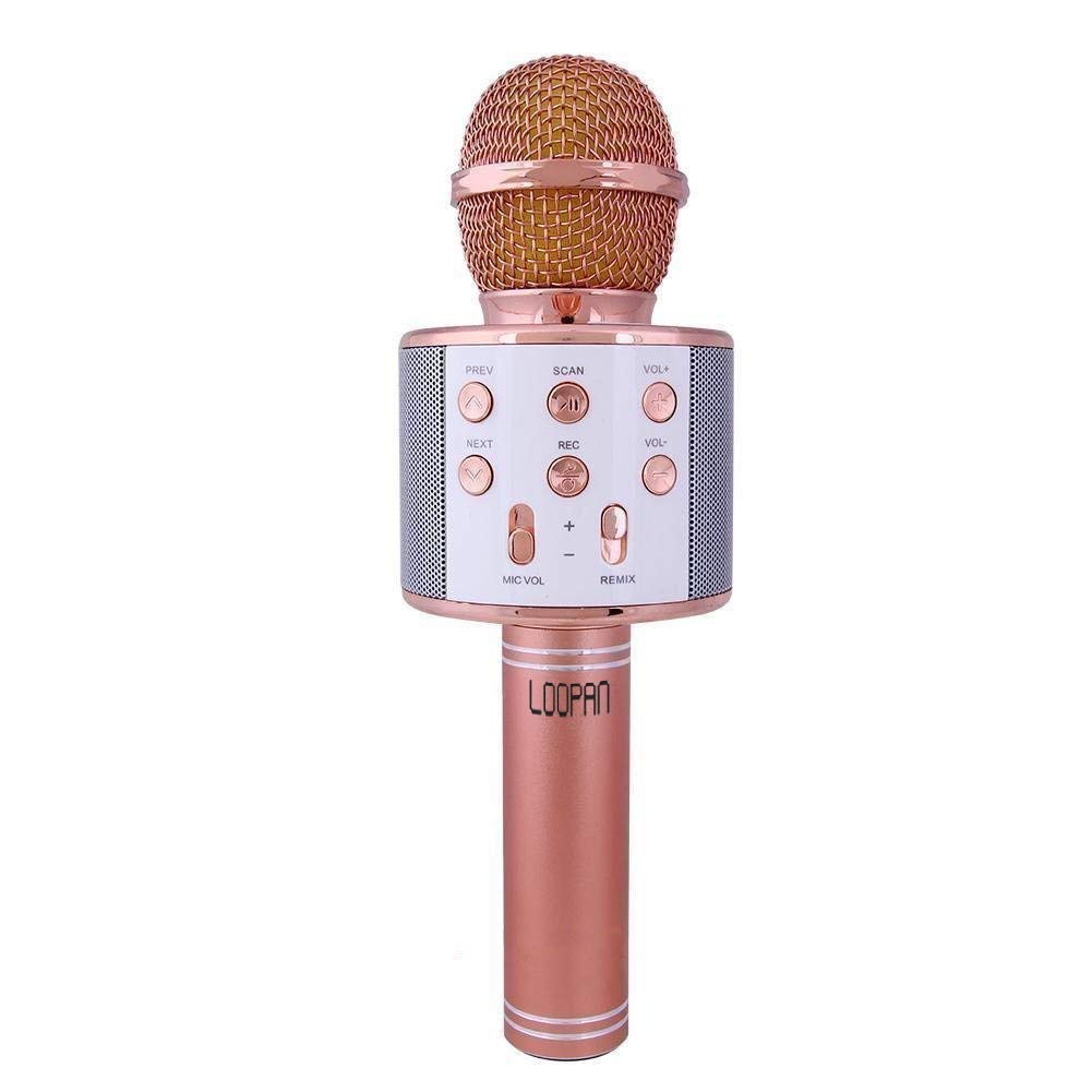 Desh Mela WS858 Wireless Microphone With Bluetooth,Micro Sd Card