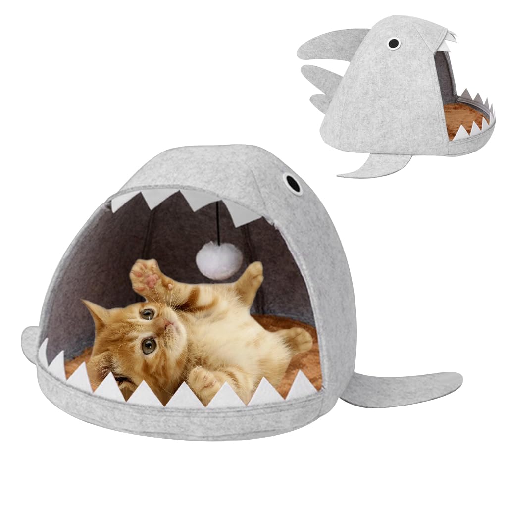 Qpets® Cat Bed, Kawaii Cartoon Open Shark Mouth Cat Bed Felt Plush Cat Bed Soft Padded Cat Sleeping Bed Cat Mat Cat Nest with Plush Ball Hanging Toy Washable Cat Game Cave Cat Bed for All Season (B0D8T3H1GZ) Amazon Price History, Amazon Price Tracker