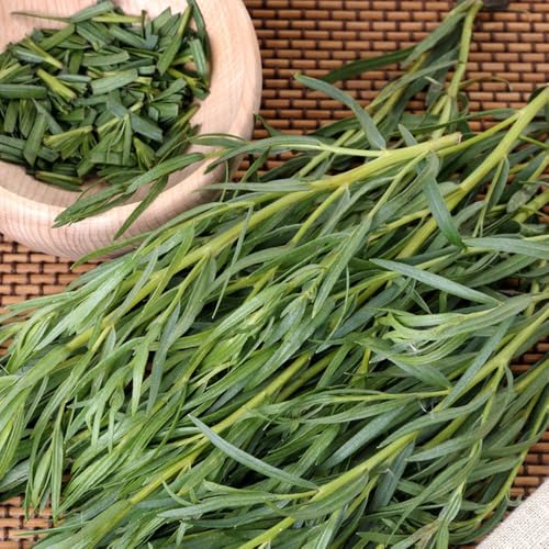 semillas de estragón orgánico, cobertura del suelo de estragón, interior silvestres, balcón, interior jardín, 130pcs