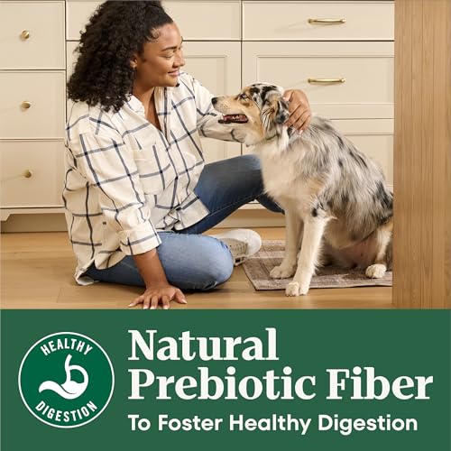 Image of Nutro Natural Choice Small Bites Dry Dog Food, Salmon & Rice, 28 lb