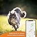 Weenect Cats 2 - El collar GPS para gatos más pequeño del...
