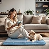 BVAGSS Hundebett Kleine Hunde Reversible, kühl und warm Matten Hundekissen, Waschbar Hundematte für klein mittel große Hunde XH080 (45x33cm,Blau)