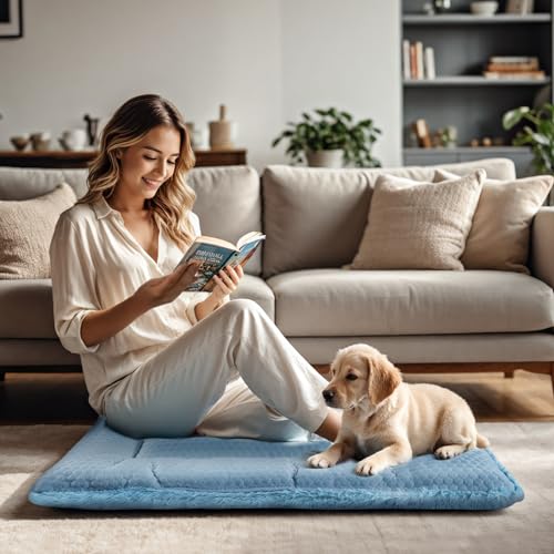 BVAGSS Hundebett Kleine Hunde Reversible, kühl und warm Matten Hundekissen, Waschbar Hundematte für klein mittel große Hunde XH080 (45x33cm,Blau)