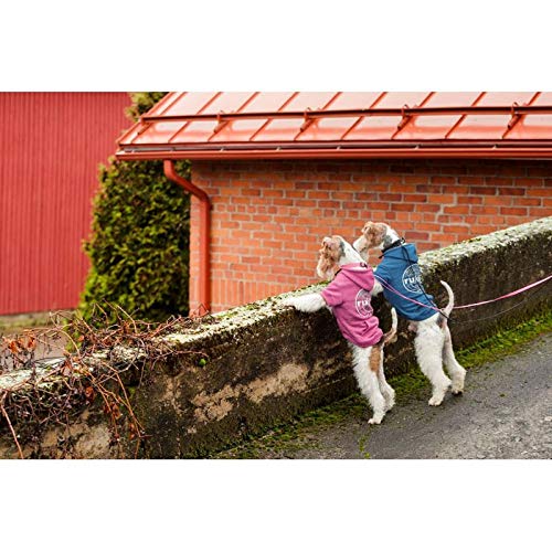 Rukka Pets College, Hot Pink, XS