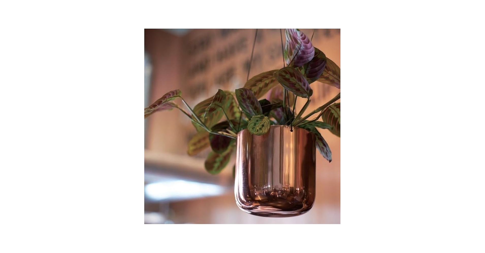 Amazon.co.jp: Raakel Hanging pot Copper φ14cm×H14cm