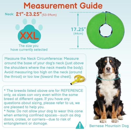 Image of Dog Cone, No-Inflation Sponge Donut Collar for Dogs After Surgery